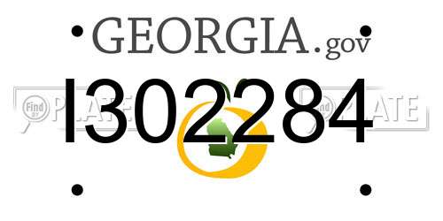 I302284 Georgia License Plate
