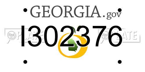 I302376 Georgia License Plate