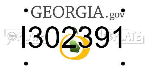 I302391 Georgia License Plate