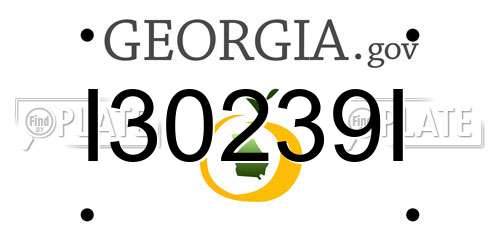 I30239I Georgia License Plate