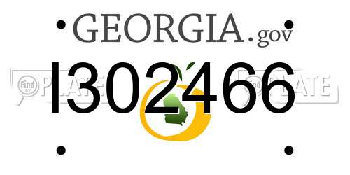 I302466 Georgia License Plate