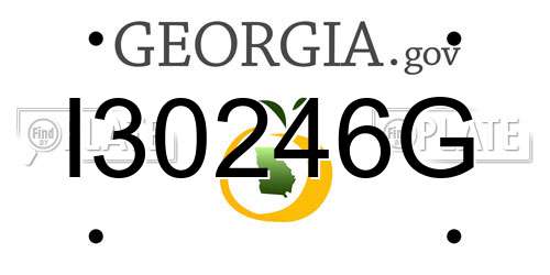 I30246G Georgia License Plate