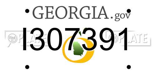 I307391 Georgia License Plate
