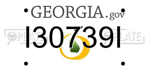 I30739I Georgia License Plate