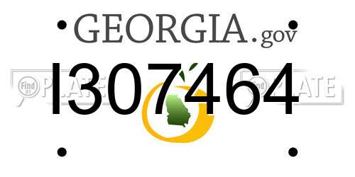 I307464 Georgia License Plate