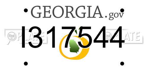 I317544 Georgia License Plate