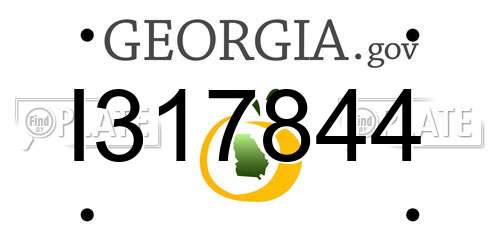 I317844 Georgia License Plate