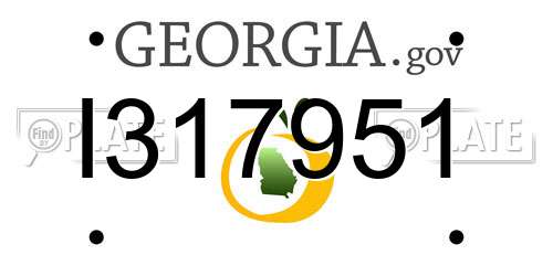 I317951 Georgia License Plate