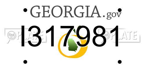 I317981 Georgia License Plate