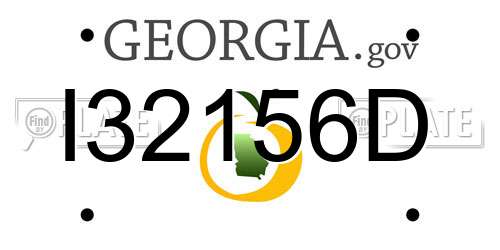 I32156D Georgia License Plate