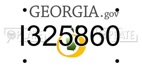 I325860 Georgia License Plate
