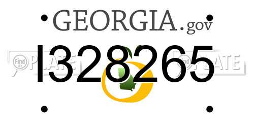 I328265 Georgia License Plate