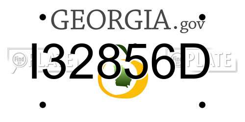 I32856D Georgia License Plate