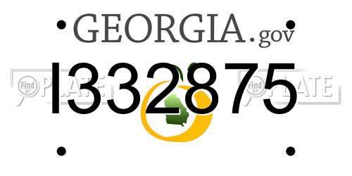 I332875 Georgia License Plate