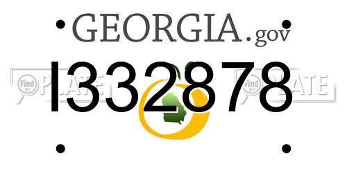 I332878 Georgia License Plate