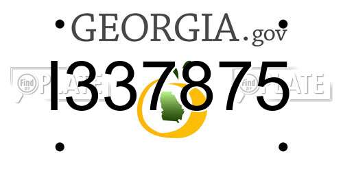I337875 Georgia License Plate