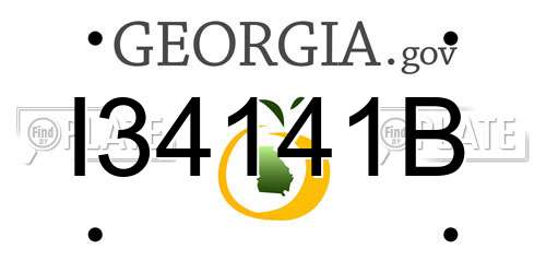 I34141B Georgia License Plate