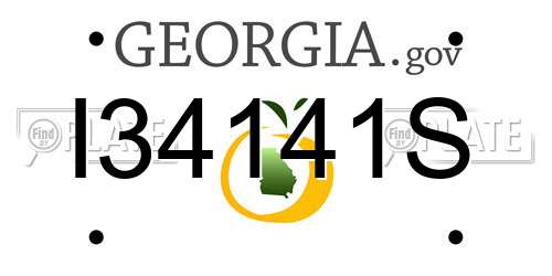 I34141S Georgia License Plate