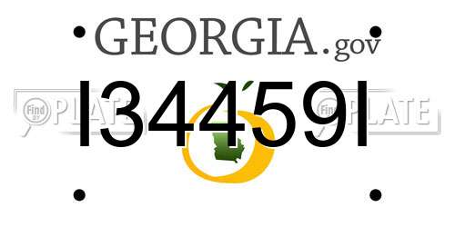 I34459I Georgia License Plate