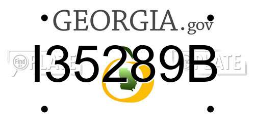 I35289B Georgia License Plate
