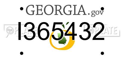 I365432 Georgia License Plate