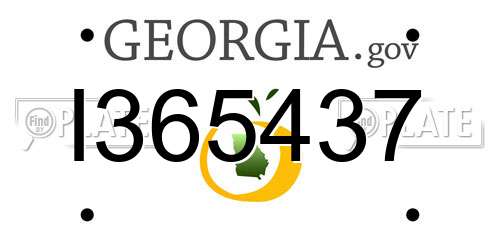 I365437 Georgia License Plate