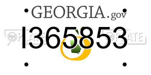 I365853 Georgia License Plate