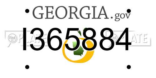 I365884 Georgia License Plate