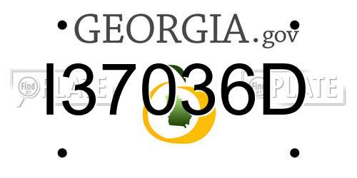 I37036D Georgia License Plate