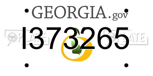 I373265 Georgia License Plate