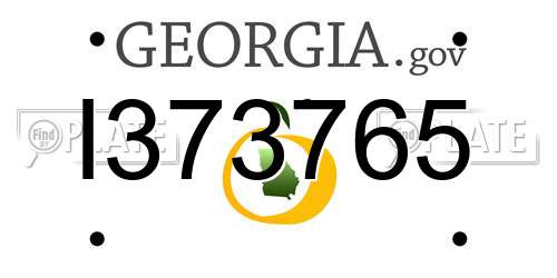 I373765 Georgia License Plate