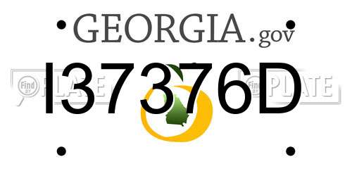 I37376D Georgia License Plate