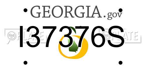 I37376S Georgia License Plate