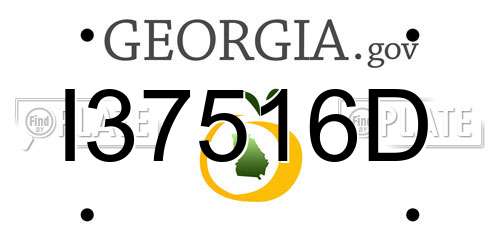 I37516D Georgia License Plate