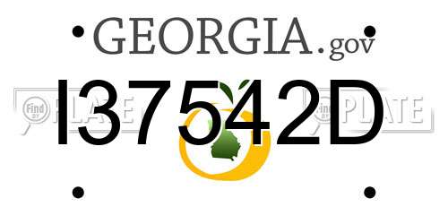 I37542D Georgia License Plate