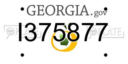 I375877 Georgia License Plate