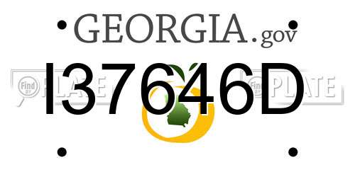 I37646D Georgia License Plate