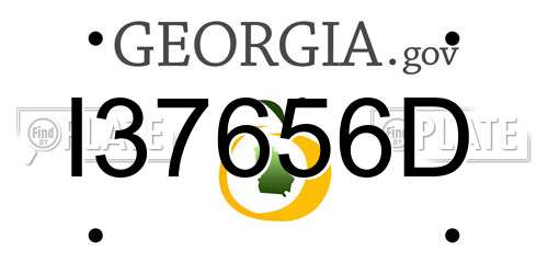 I37656D Georgia License Plate