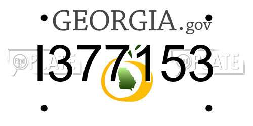 I377153 Georgia License Plate