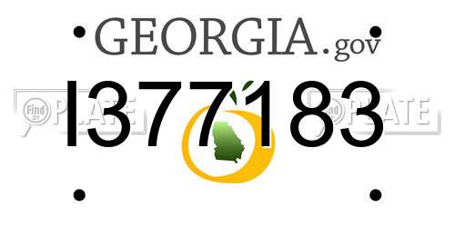 I377183 Georgia License Plate