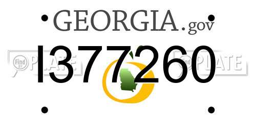 I377260 Georgia License Plate