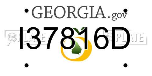 I37816D Georgia License Plate