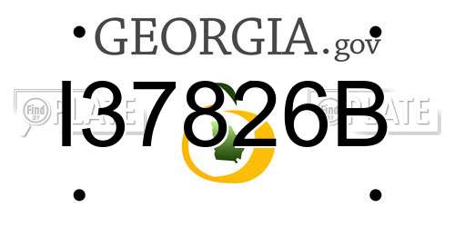 I37826B Georgia License Plate