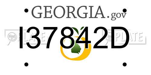 I37842D Georgia License Plate