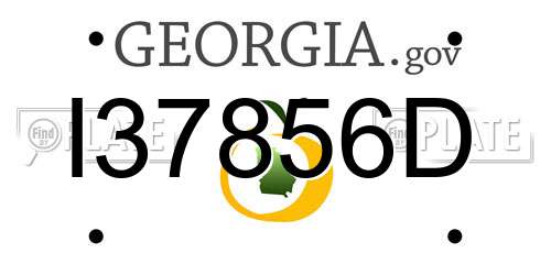 I37856D Georgia License Plate