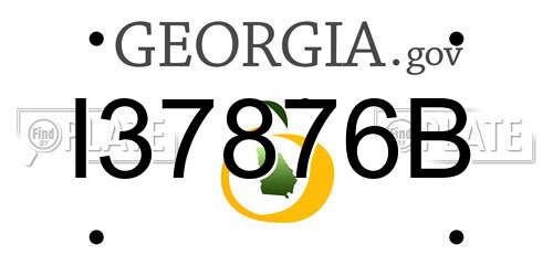 I37876B Georgia License Plate