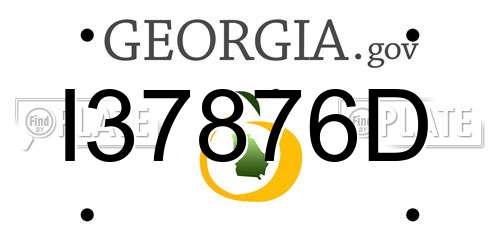 I37876D Georgia License Plate