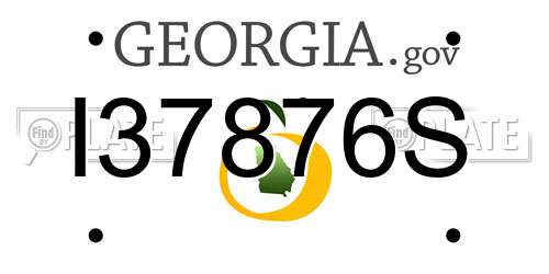 I37876S Georgia License Plate
