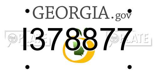I378877 Georgia License Plate
