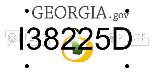 I38225D Georgia License Plate